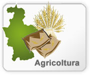 Agricoltura